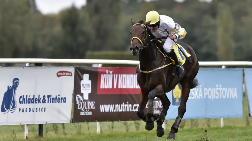 Charme Look na Velké pardubické 2016