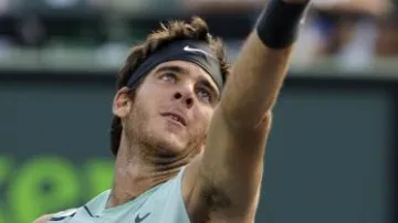 Juan Martin del Potro