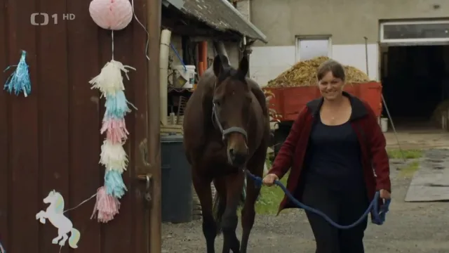 Skromné zákulisí úspěchu Sacamira