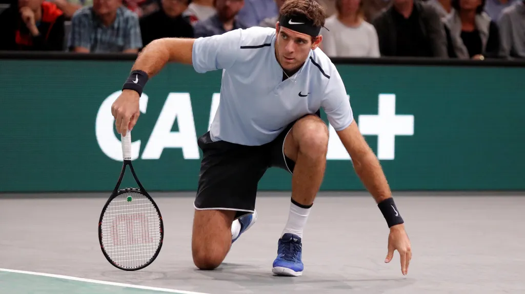 Juan Martín del Potro