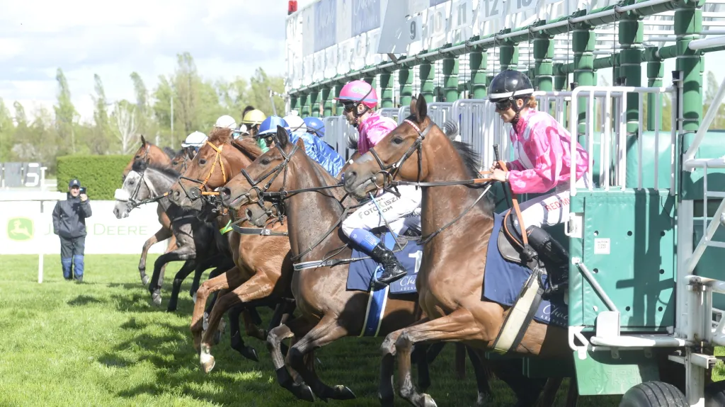 Dostihy ve Velké Chuchli