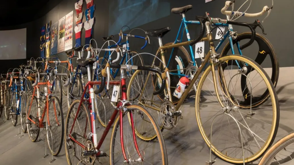 Výstava Fenomén favorit