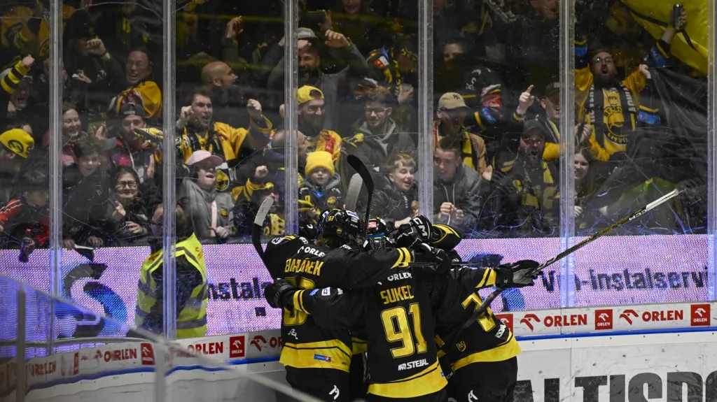 Litvínovská radost