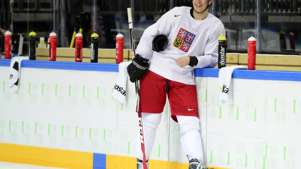 Tomáš Hertl se naposledy v národním dresu představil v roce 2015