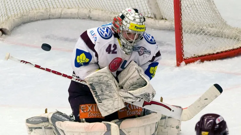 HC MOUNTFIELD - HC Sparta Praha