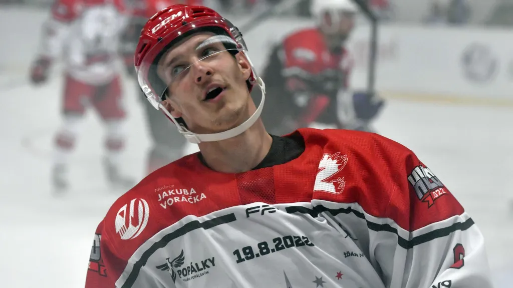 Dominik Kubalík na charitativní akci