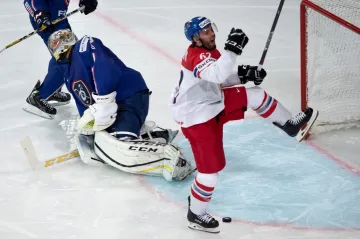 Michal Řepík se raduje z gólu v síti Francie