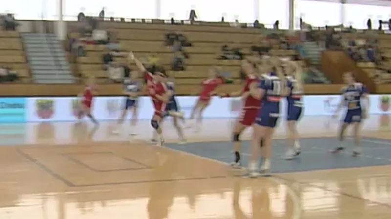 Sestřih utkání ČR - Island