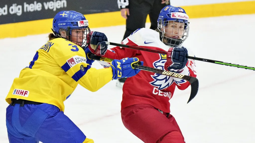 Utkání Švédsko - Česko