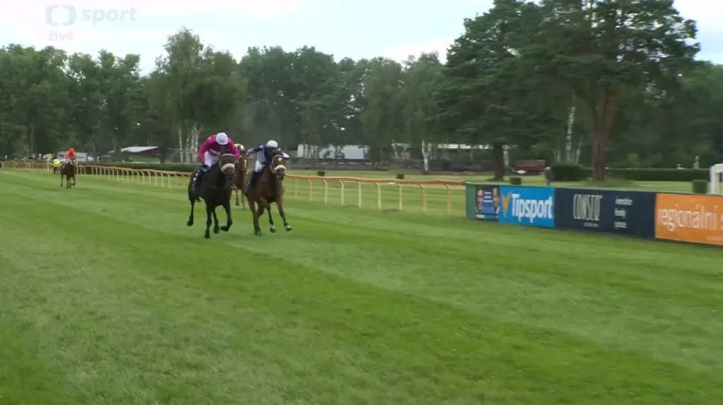 Memoriál Evy Palyzové s ohlasy