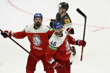 David Krejčí slaví gól s Filipem Hronkem