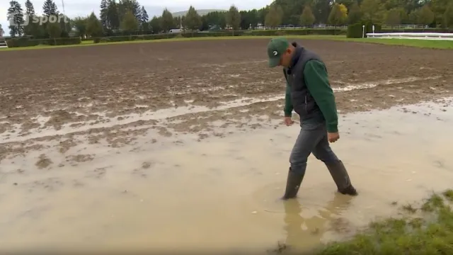 Bez holinek to nepůjde, říká správce pardubické dráhy