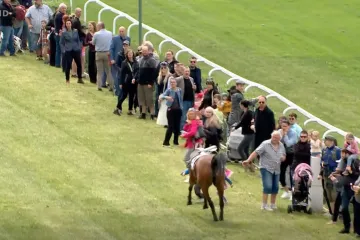 Neštěstí při dostizích v Pardubicích