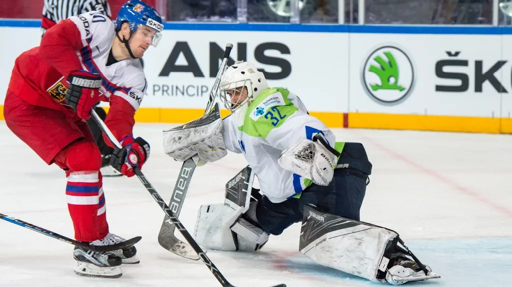 Utkání Česko - Slovinsko