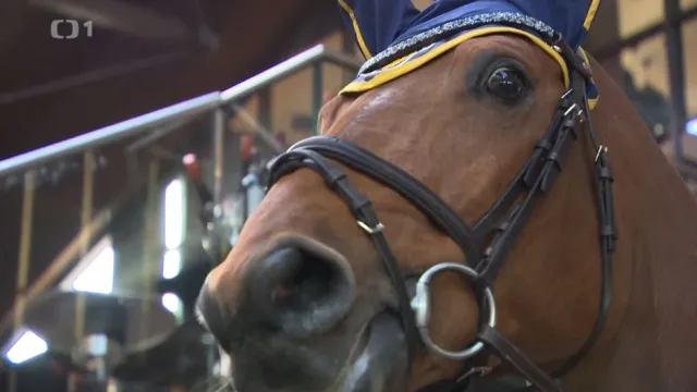 Pražští Lvi v Šamoríně neoslnili