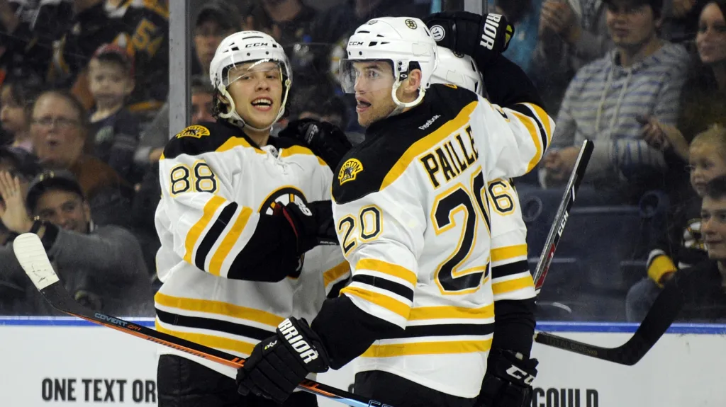 Pastrňák se raduje z brankyse spoluhráči 