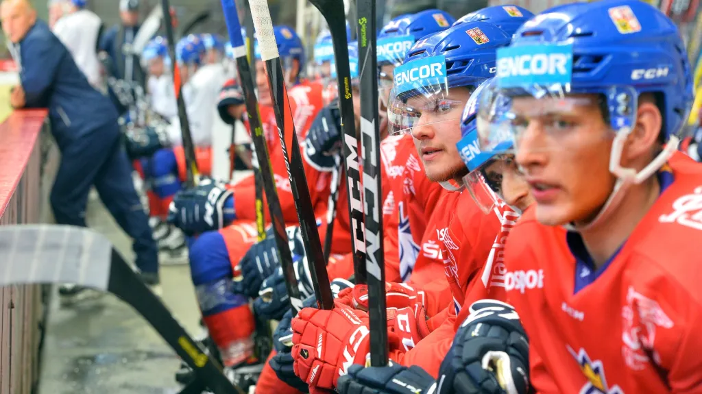 Hokejová reprezentace