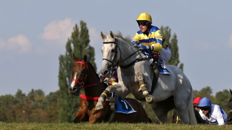 Bělouš Artistmontont a Kasim během kvalifikace na Velkou pardubickou