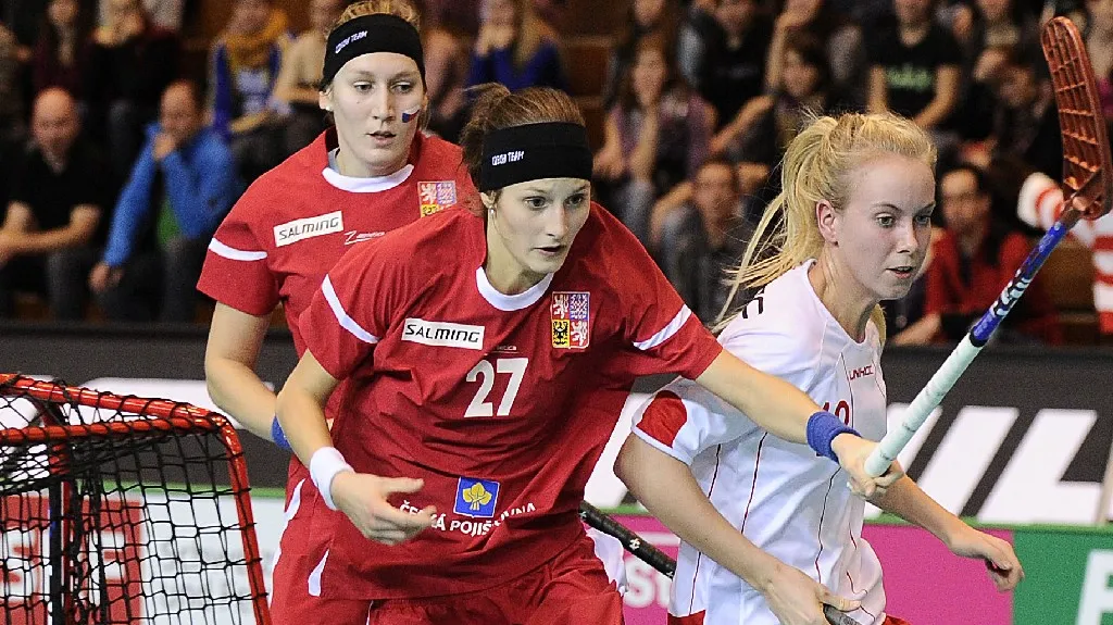 Utkání ČR - Dánsko