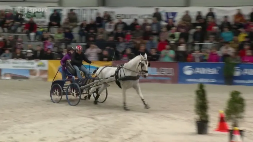 V Lysé nad Labem vyvrcholil Jezdecký festival