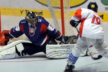 Utkání Česko - Slovensko