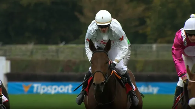 Cena Nadace pro rozvoj města Pardubic a ohlasy