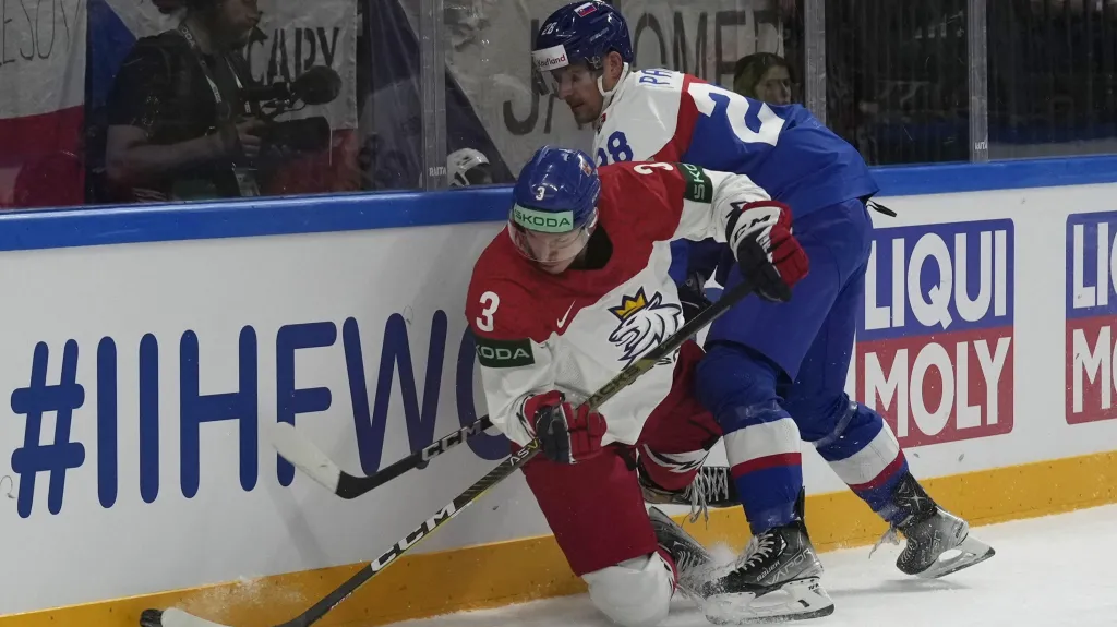 Ronald Knot v utkání se Slováky