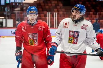 Dominik Kubalík a Daniel Voženílek