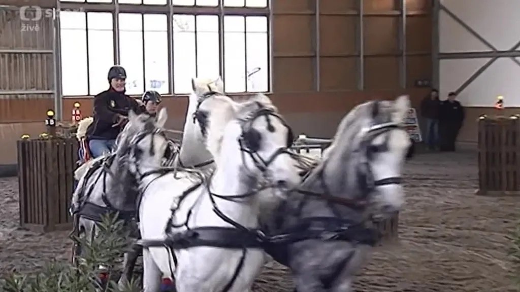 Druhý závod Zimního jezdeckého poháru spřežení ovládl Nesvačil mladší