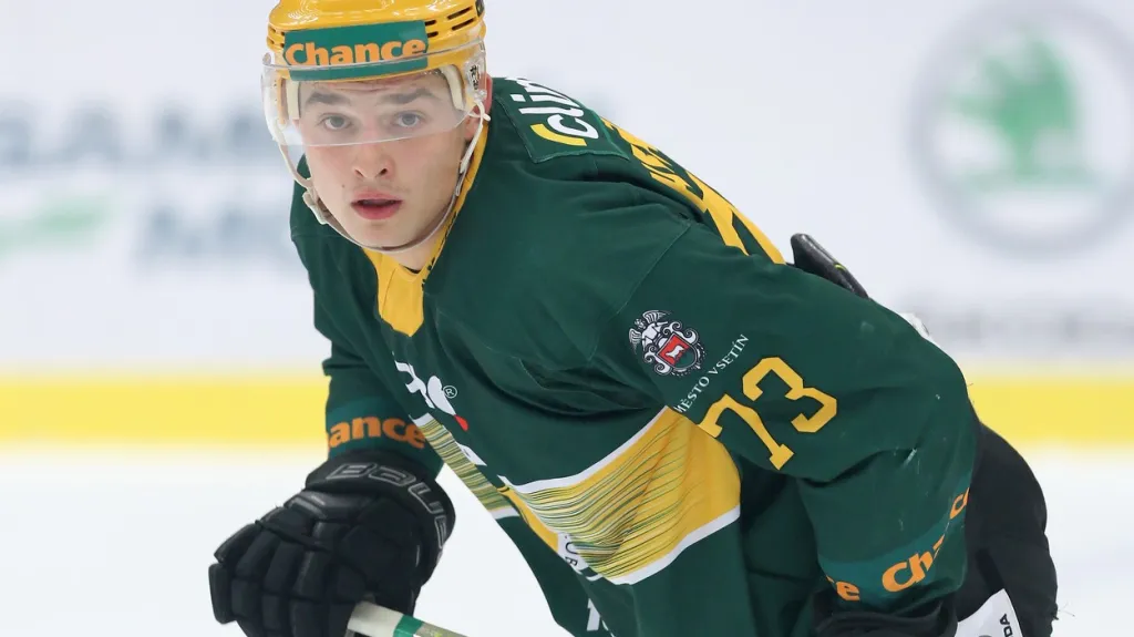 Vsetínský Adam Hořanský