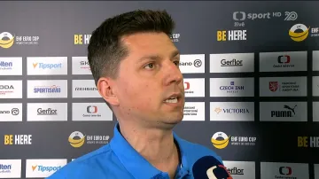 Ohlasy kouče Hlavatého a Holečkové po utkání s Dánskem