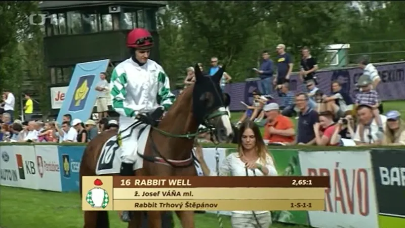Třetí kvalifikaci na Velkou pardubickou ovládl Rabbit Well