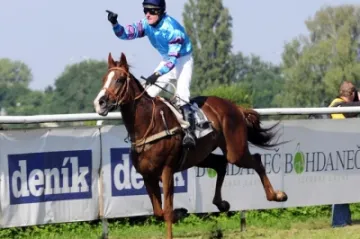 Valldemoso s Janem Faltejskem