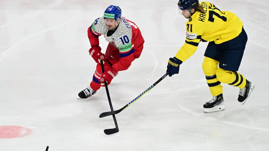 Roman Červenka v utkání proti Švédsku