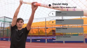 Profil tyčkaře Davida Holého
