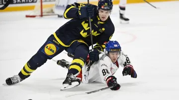 Sestřih utkání Česko – Švédsko