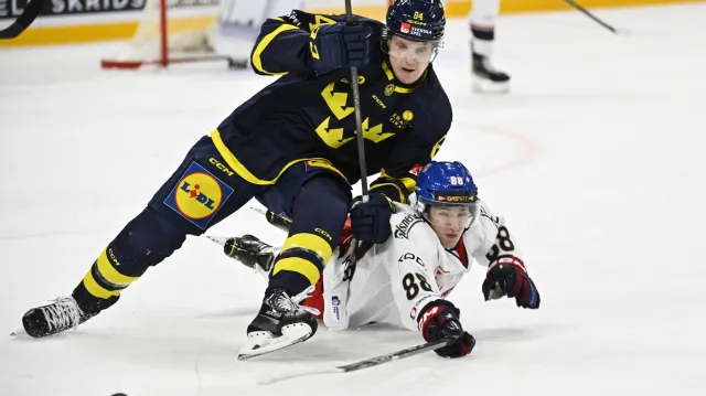 Sestřih utkání Česko – Švédsko