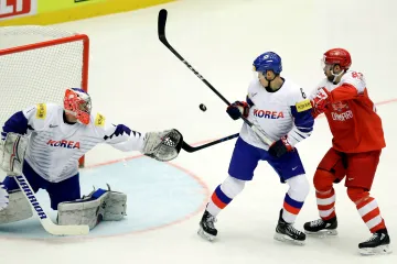 Utkání Dánsko - Jižní Korea