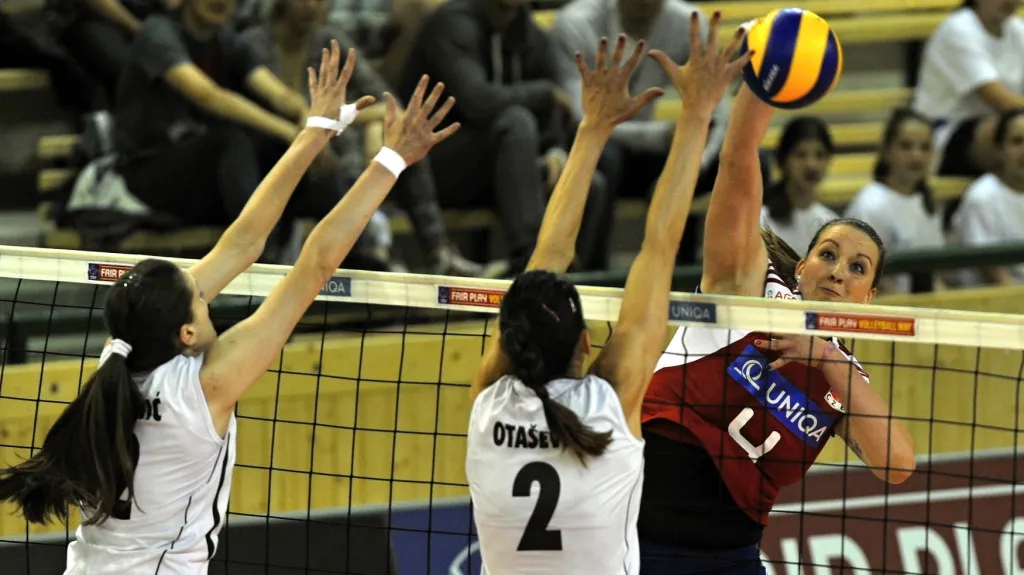 Česká republika - Černá Hora