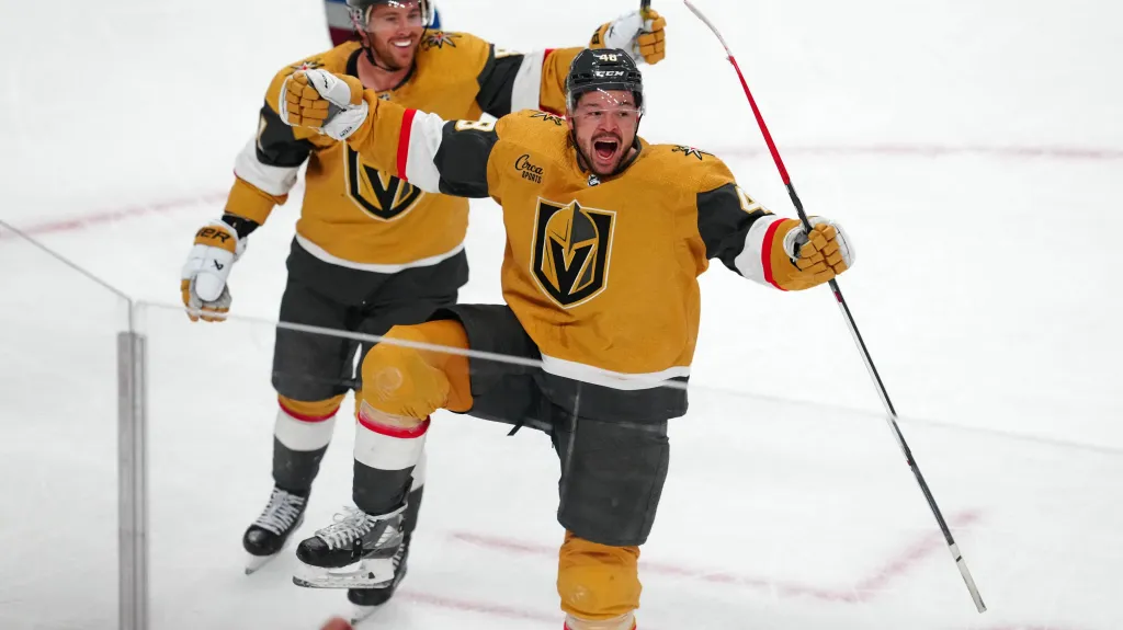 Tomáš Hertl se raduje z branky