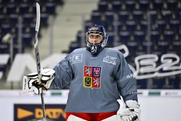 Reprezentační brankář Nick Malík