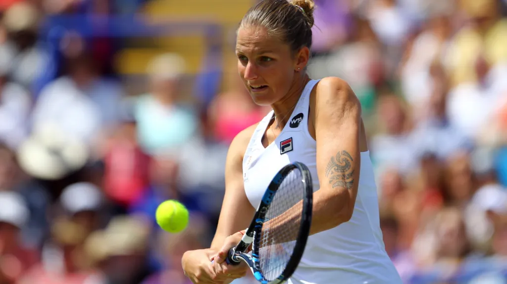 Karolína Plíšková