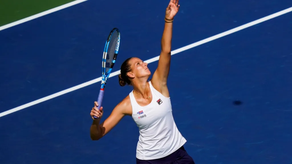 Karolína Plíšková