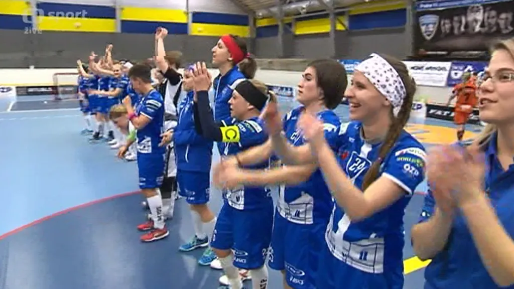 Sestřih a ohlas utkání Chodov - Herbadent Praha 11 SJM