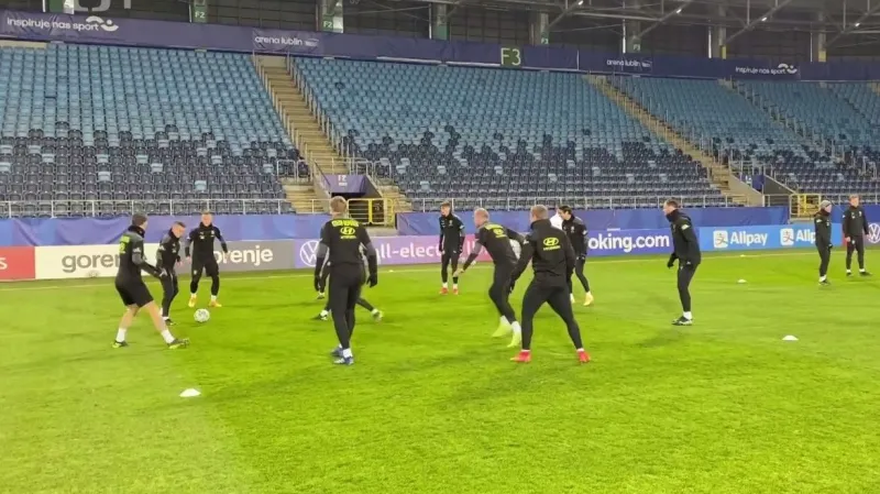 Češi rozehrají kvalifikaci o MS proti oslabenému Estonsku