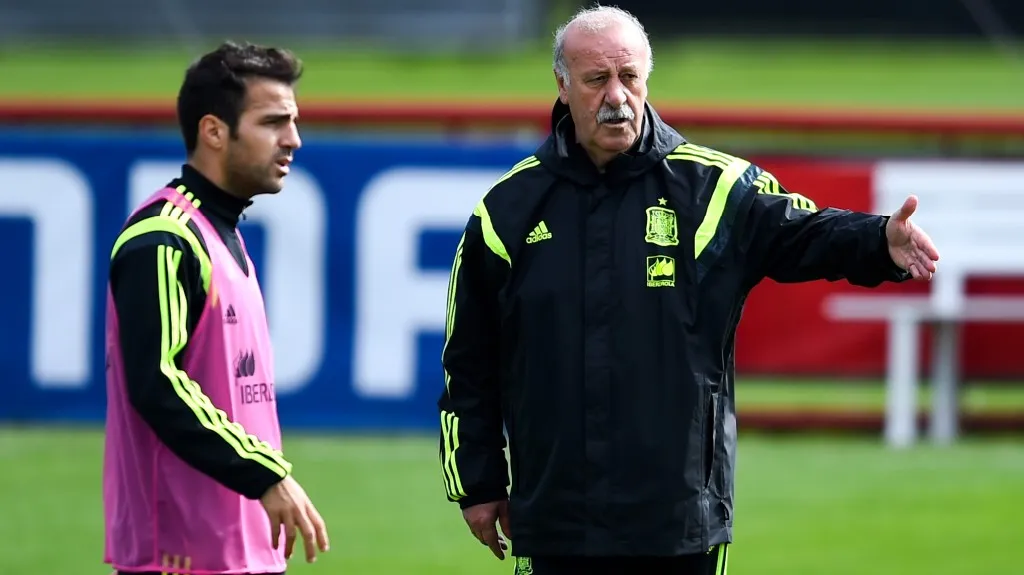 Cesc Fábregas a Vicente Del Bosque na tréninku