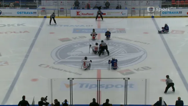 Sestřih utkání USA – Kanada