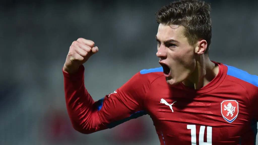 Radost Patrika Schicka