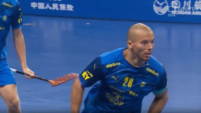 Závěr semifinále Švédsko – Česko