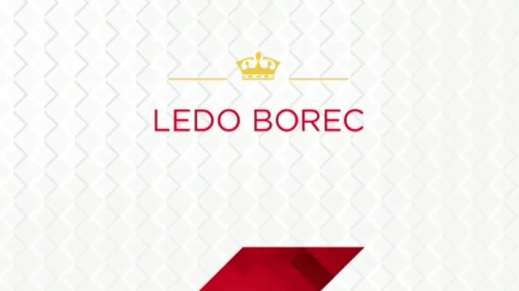 Ledo borec